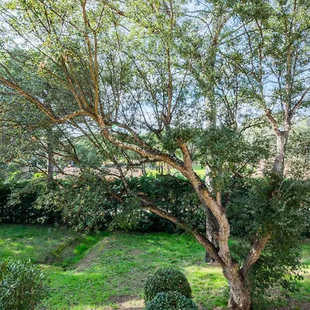 Apartamento Saint-raphael Valescure - Maeva - Avec Terrasse 4 Personnes - Selection - Super Mae-7091 Saint-Raphaël